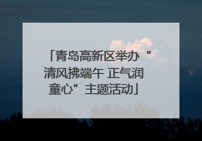 青岛高新区举办“清风拂端午 正气润童心”主题活动